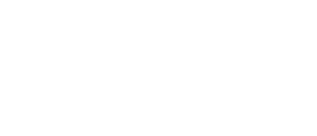 netexlog logo